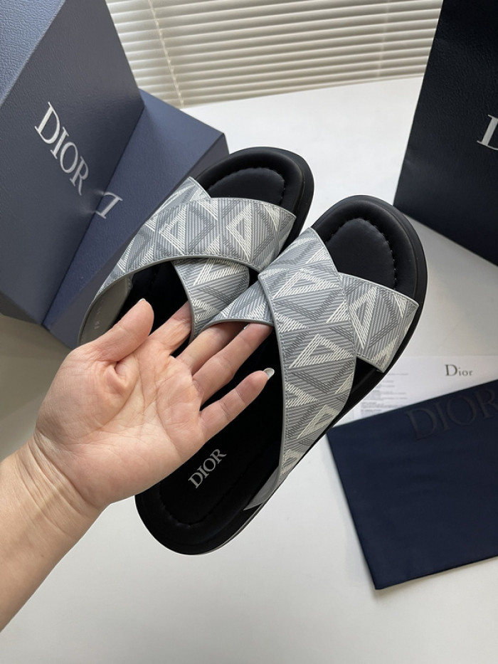 D10r slides ds-042