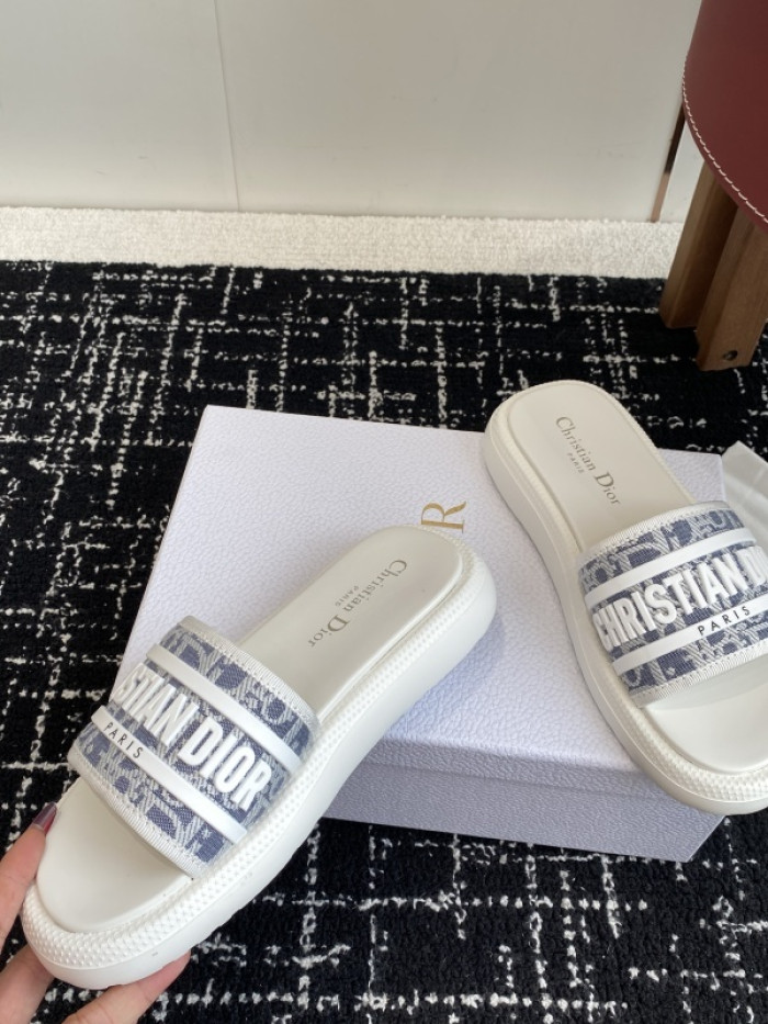 D10r slides ds-085