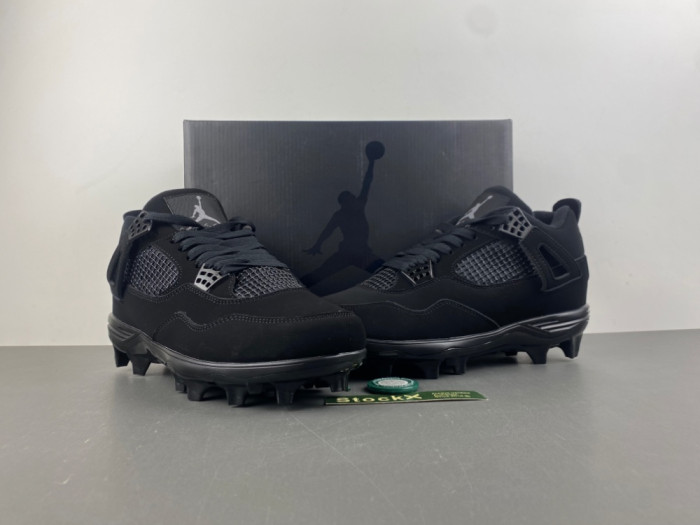 Air Jordan 4 CU1110-010