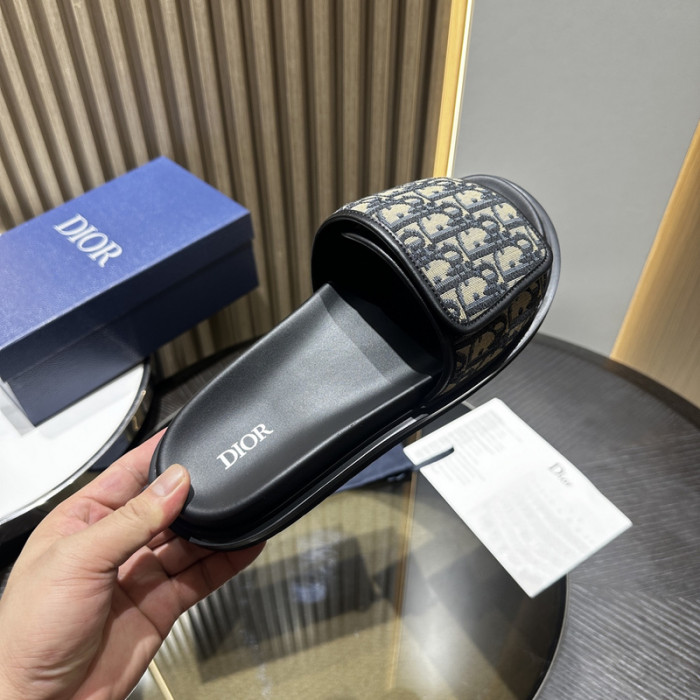 D10r slides ds-052