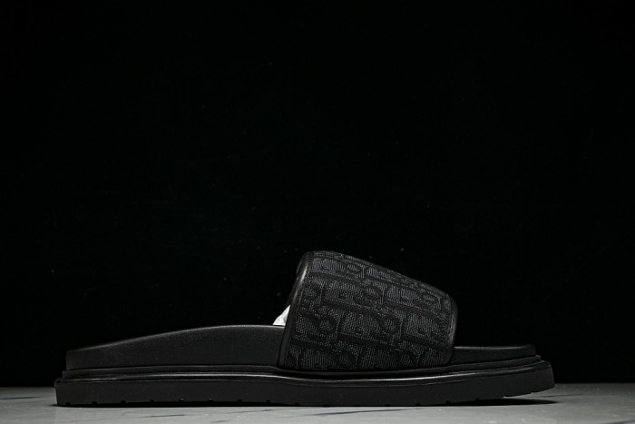 D10r SLIDES DS-094