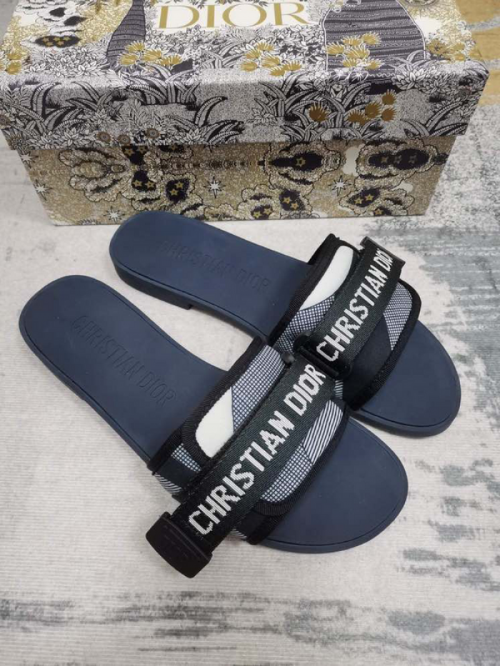 D10r slides ds-040