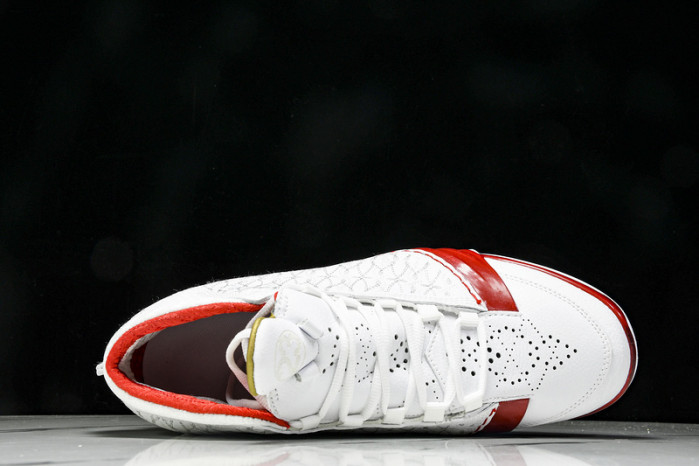 Air Jordan 23 