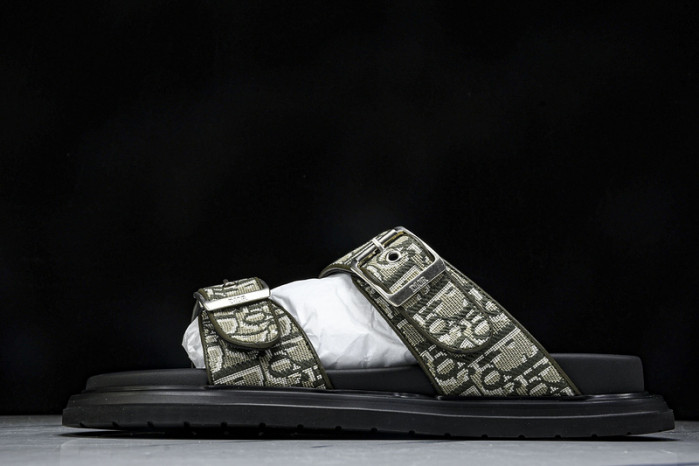 D10r slides ds-060