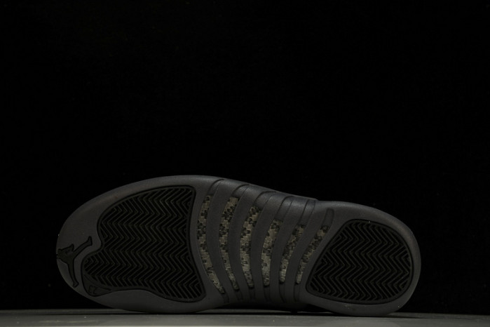 air jordan 12 ct8013-019
