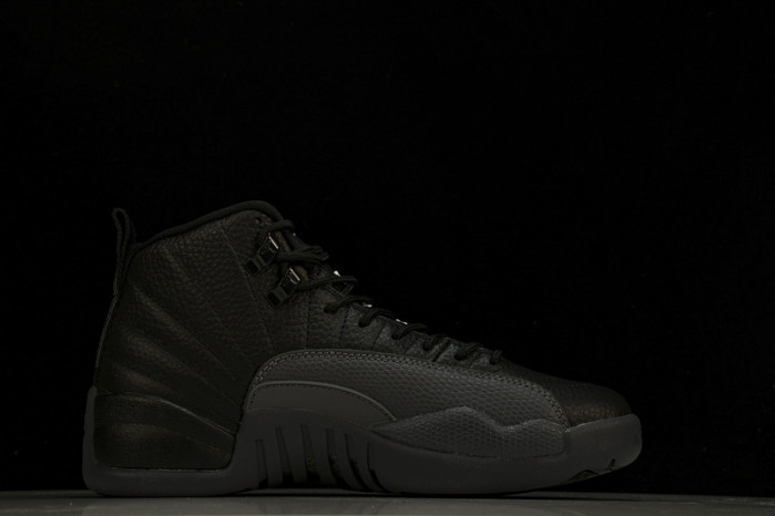 air jordan 12 ct8013-019
