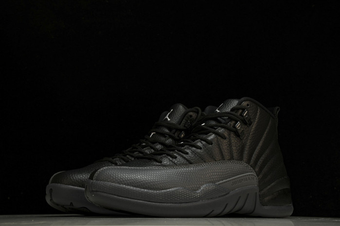air jordan 12 ct8013-019