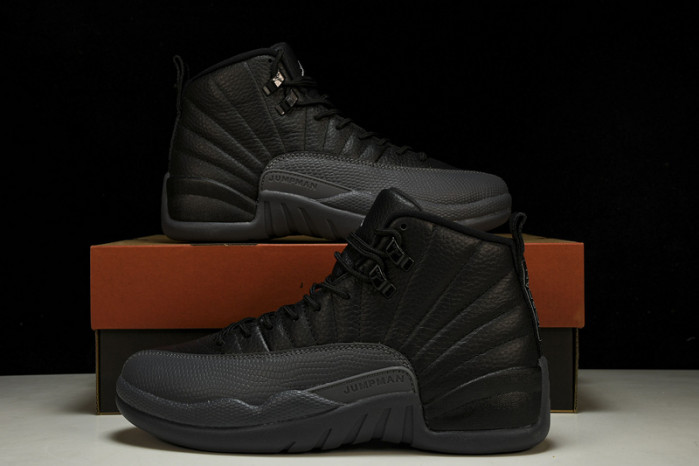 air jordan 12 ct8013-019