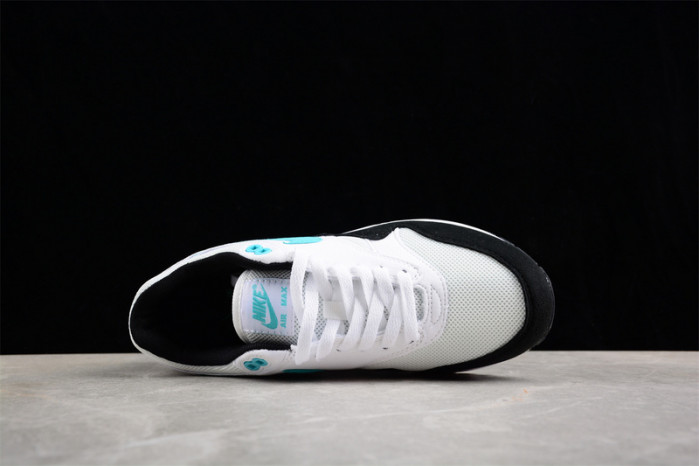 nike air max 1 dz3307-114