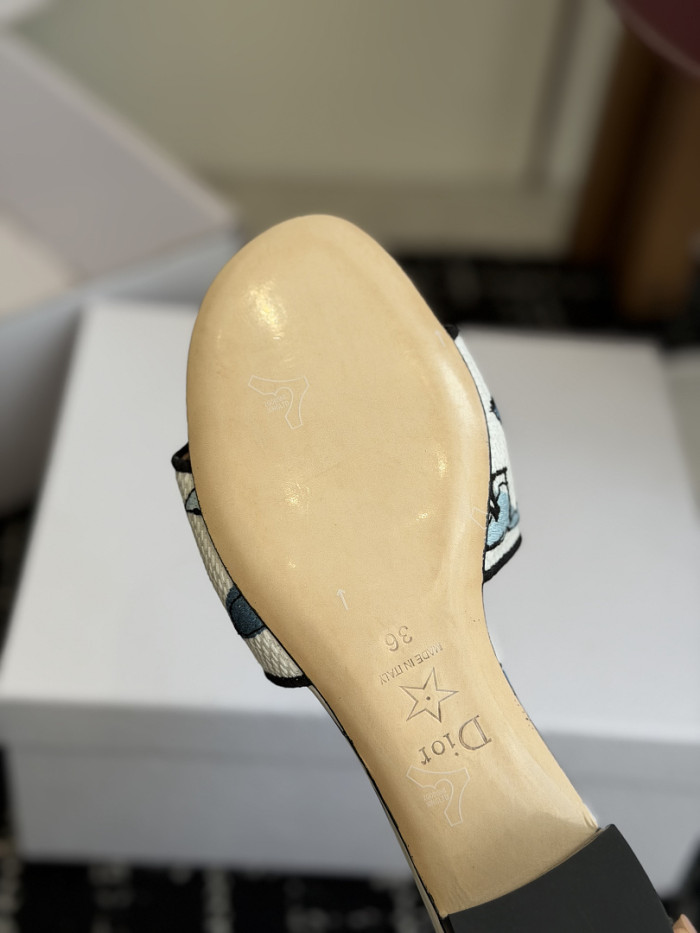 D10r SLIDES DS-0115