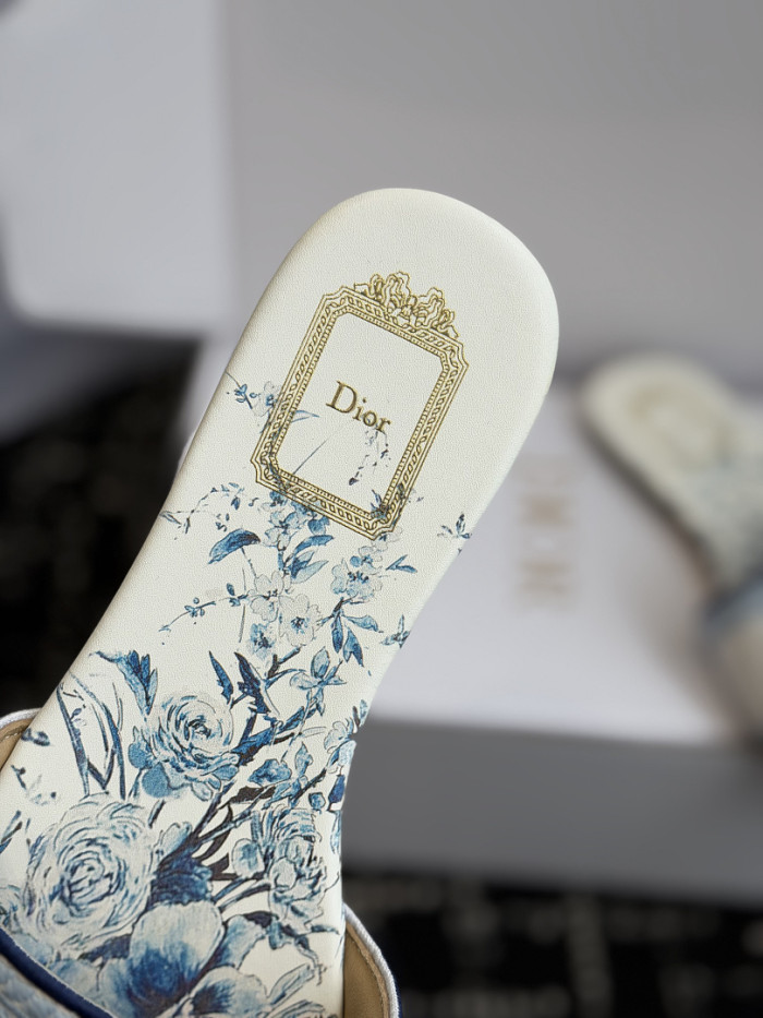 D10r SLIDES DS-0127