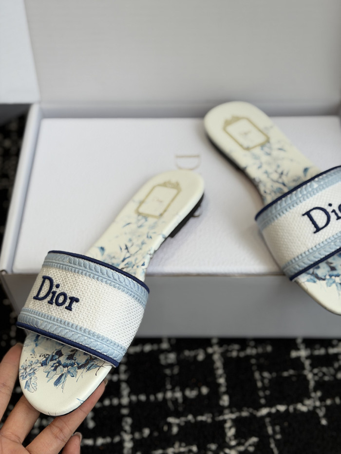 D10r SLIDES DS-0127