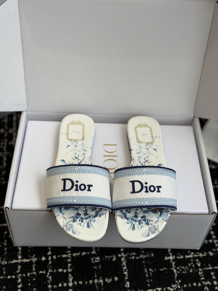 D10r SLIDES DS-0127