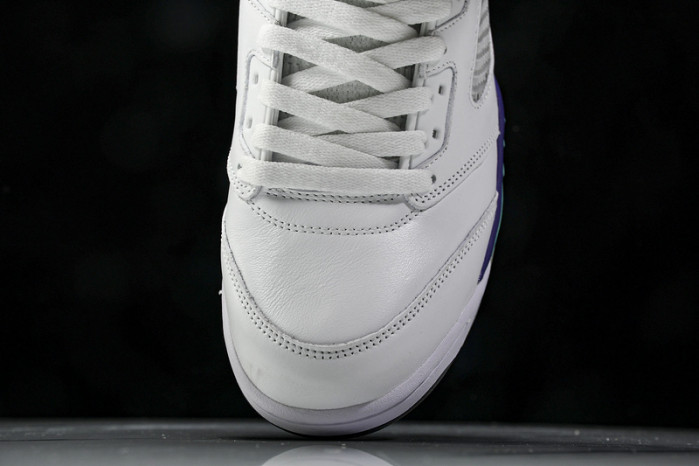 Air Jordan 5 