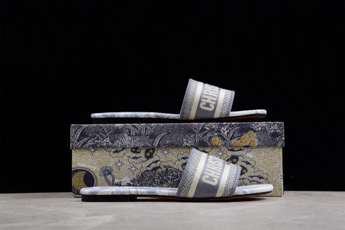 D*or slides ds-004