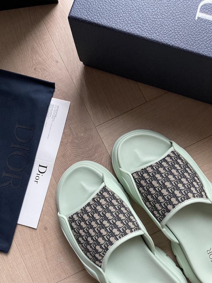 D10r slides ds-046