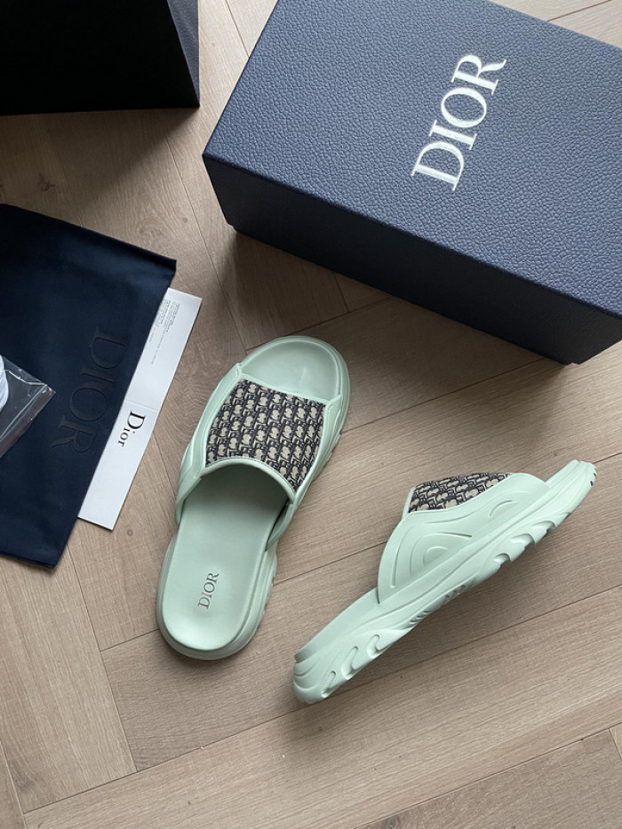 D10r slides ds-046