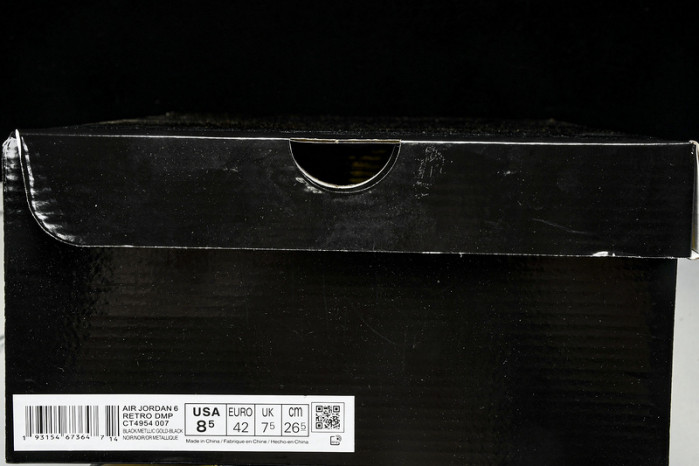 Jordan 6 Retro DMP CT4954-007