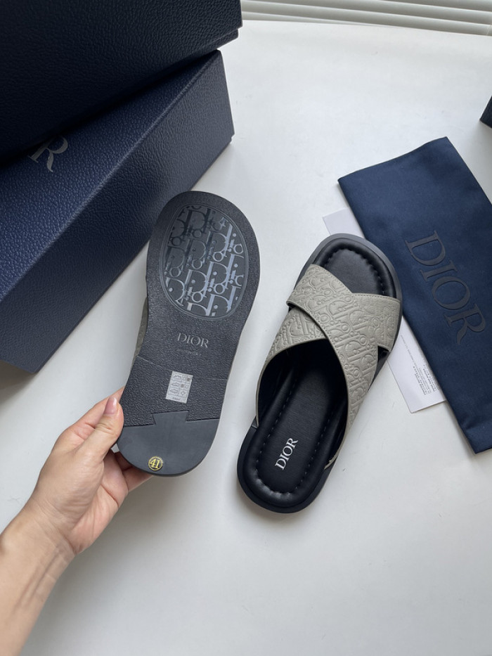 D10r slides ds-048