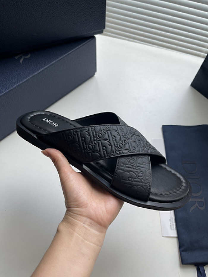 D10r slides ds-049