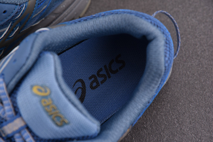 a.*sic*s g*el 1011b109-400