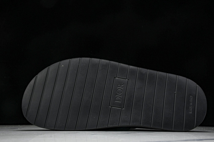 D10r slides ds-058