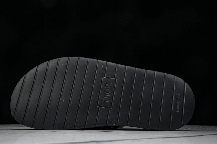 D10r slides ds-057
