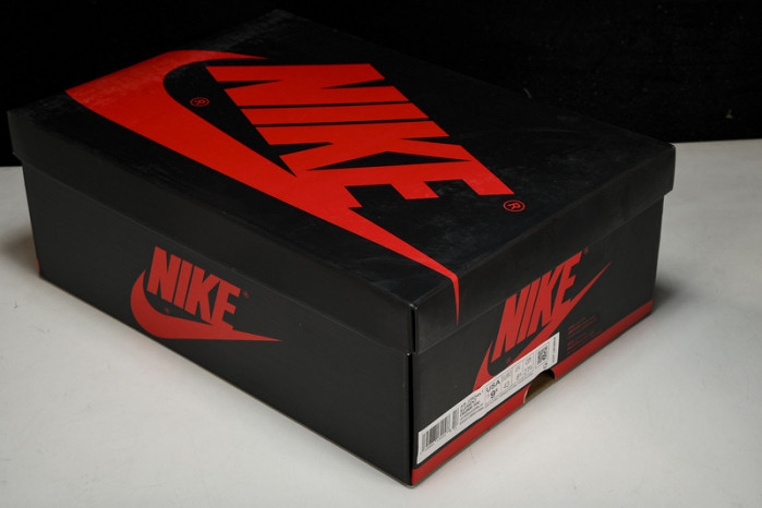 air jordan 1 high element gore-tex