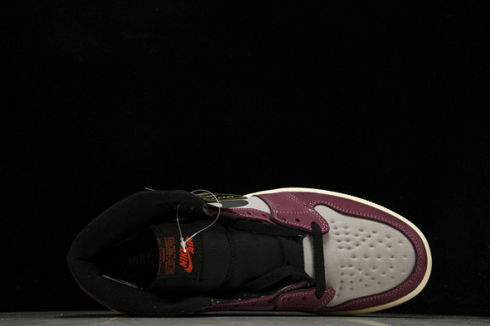air jordan 1 high element gore-tex