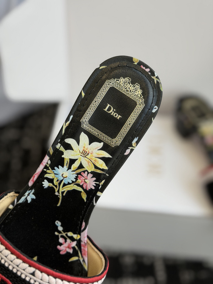D10r SLIDES DS-0123