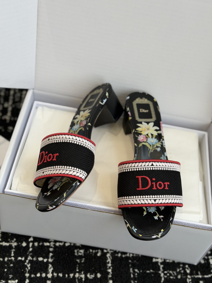 D10r SLIDES DS-0123