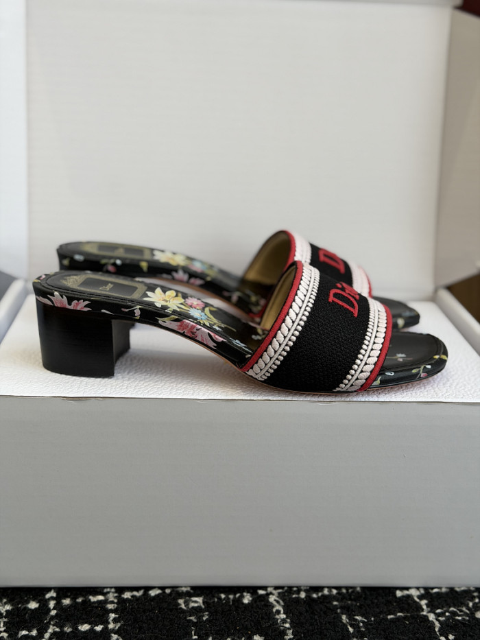 D10r SLIDES DS-0123