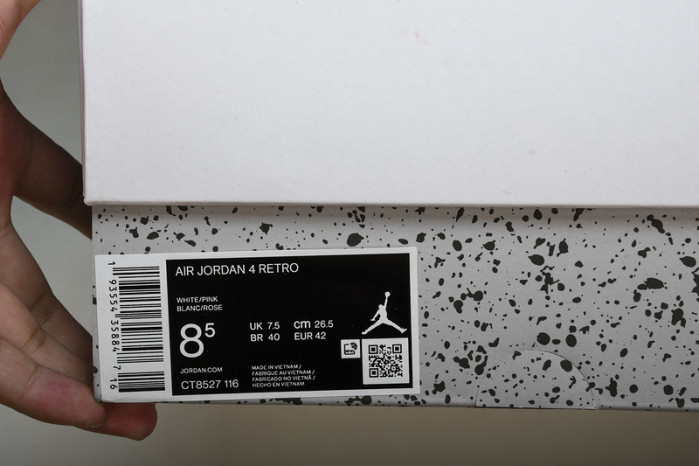 air jordan 4 ct8527-116