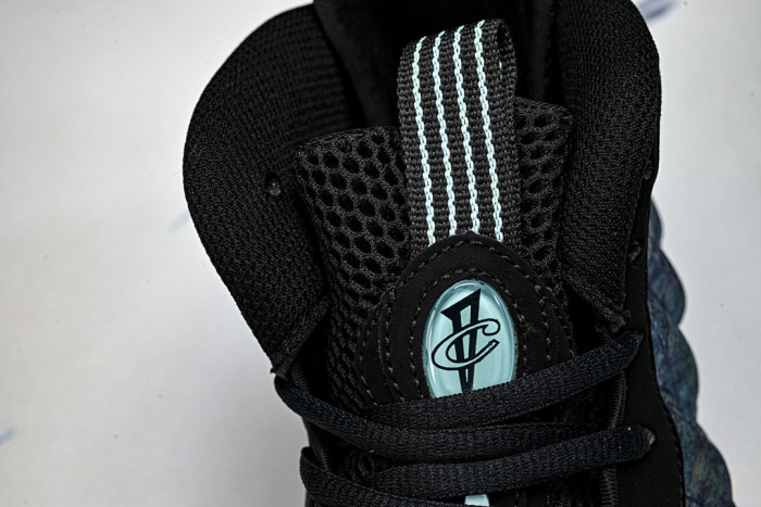 Nike Air Foamposite One 575420-009