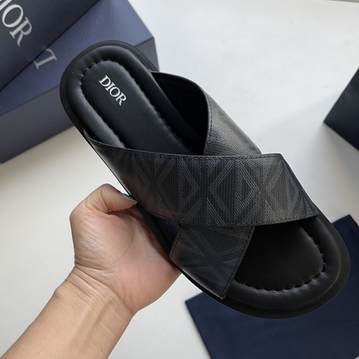 D10r slides ds-043