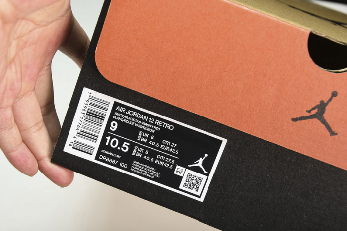 air jordan 12 dr8887-100